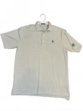 Turtleson Men's Large Polo Shirt Green and White Striped Polyester